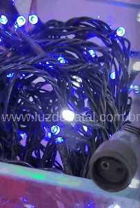 100 LEDs Azul fio verde Ø1.8mm com 20 strobos  Branco  tom m/mf uso externo  IP44