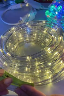 Mangueira de Led 2